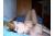 Hotride82