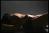 Maria24