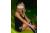 Blondangel25