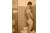 Pitbull1889
