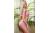 Sweet_gina