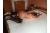 PornGirl