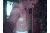 Tommy_SDT