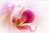 Anabell_Beauty