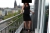 LadyDi